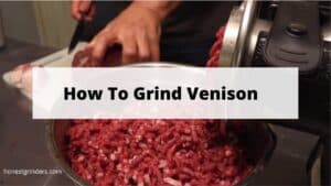 Do You Love Venison Meat? Learn Here How To Grind Venison