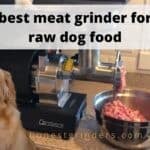 best meat grinder for raw dog food