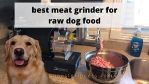 Best Meat Grinder For Raw Dog Food