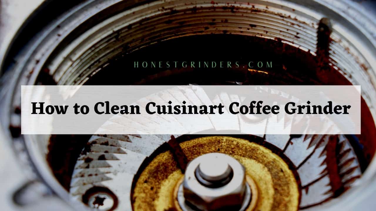 how to clean cuisinart coffee grinder