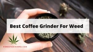 Top 10 Best Coffee Grinders For Weed [Our Top Guide]