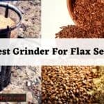 Best Grinder for Flax Seeds