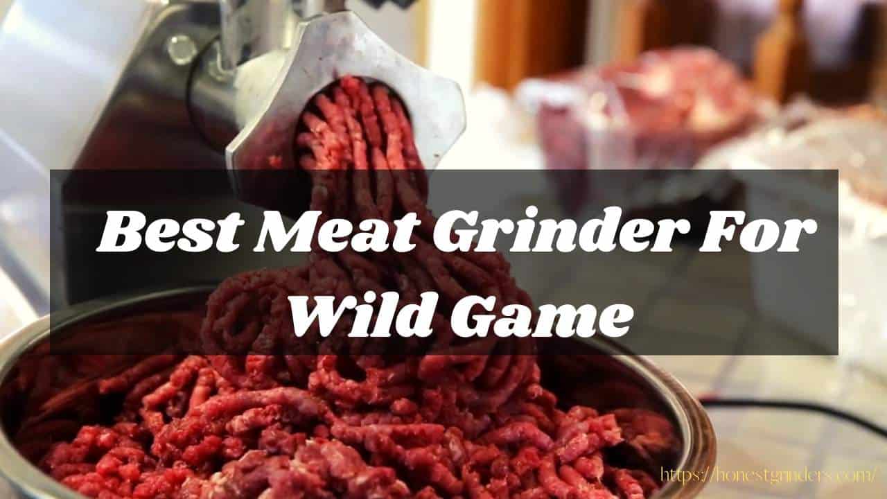 Best meat grinder for wild game