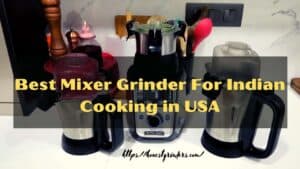 The 10 Best Mixer Grinder for Indian Cooking in USA