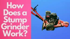How Does a Stump Grinder Work? Explained of 2022