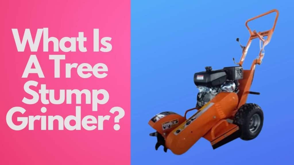 What Is A Tree Stump Grinder