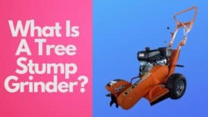 What is a Tree Stump Grinder? Perfect Info. 2022