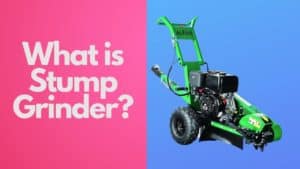 What is Stump Grinder? All You Need To Know