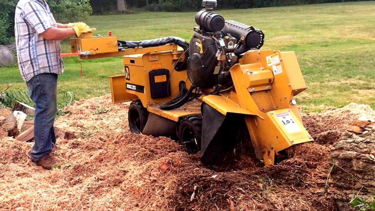How Much To Grind A Stump