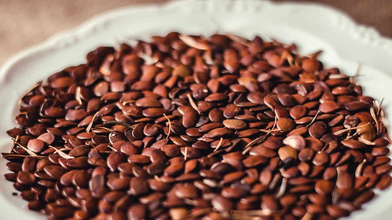 How to Grind Flax Seeds