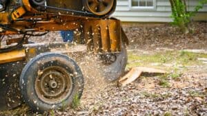 What Does a Stump Grinder Look Like?
