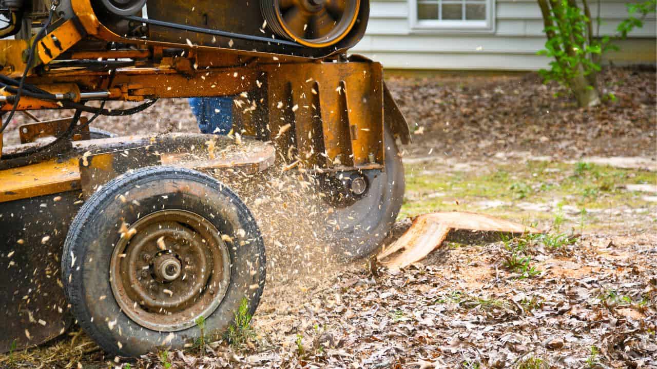 What Does a Stump Grinder Look Like